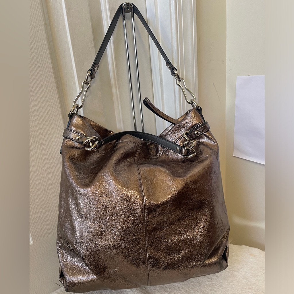 Coach Brooke Convertible Hobo Metallic Bag Guc